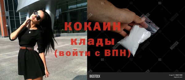 соль ск Абаза